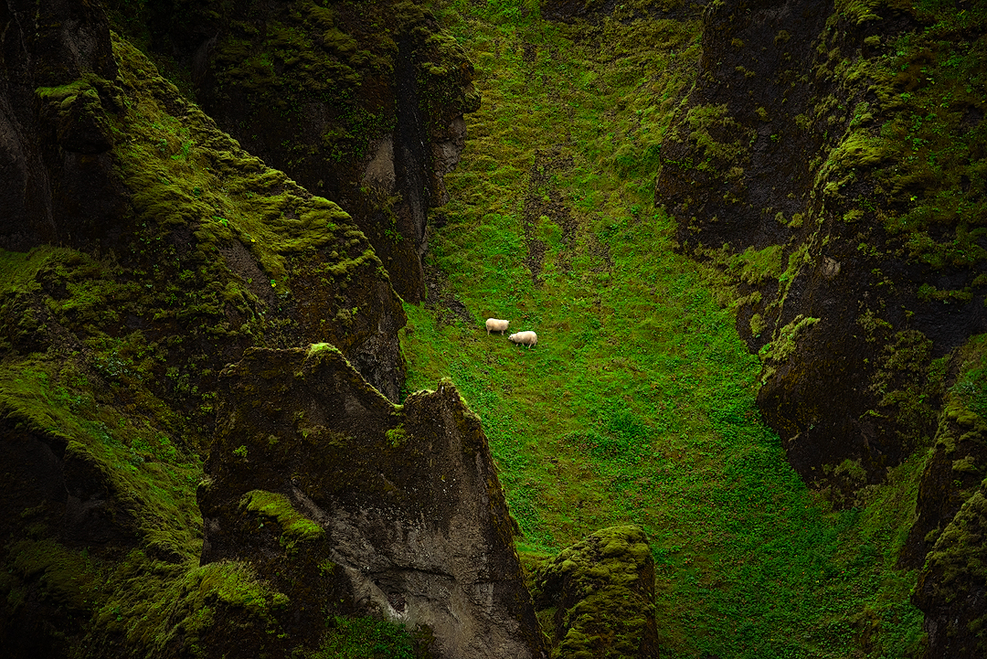 Aventure dans les Hautes Terres : Découvrez la Beauté Sauvage de l'Islande(26)