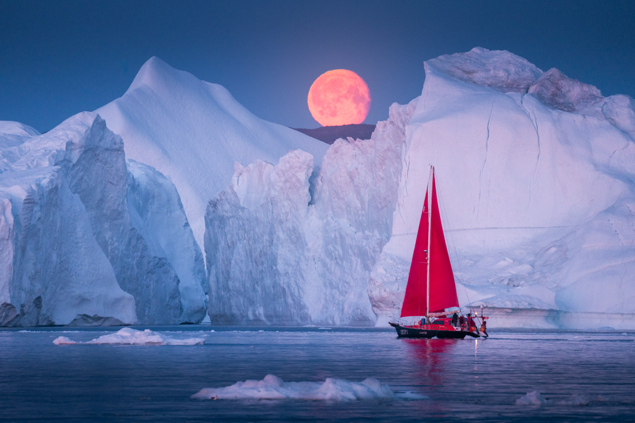 Amazing Antarctic Photography Expedition(15)